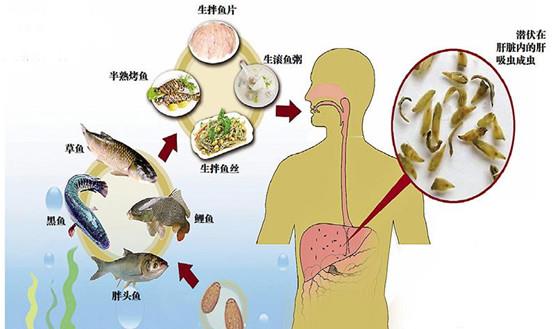 游戏专题 第41页