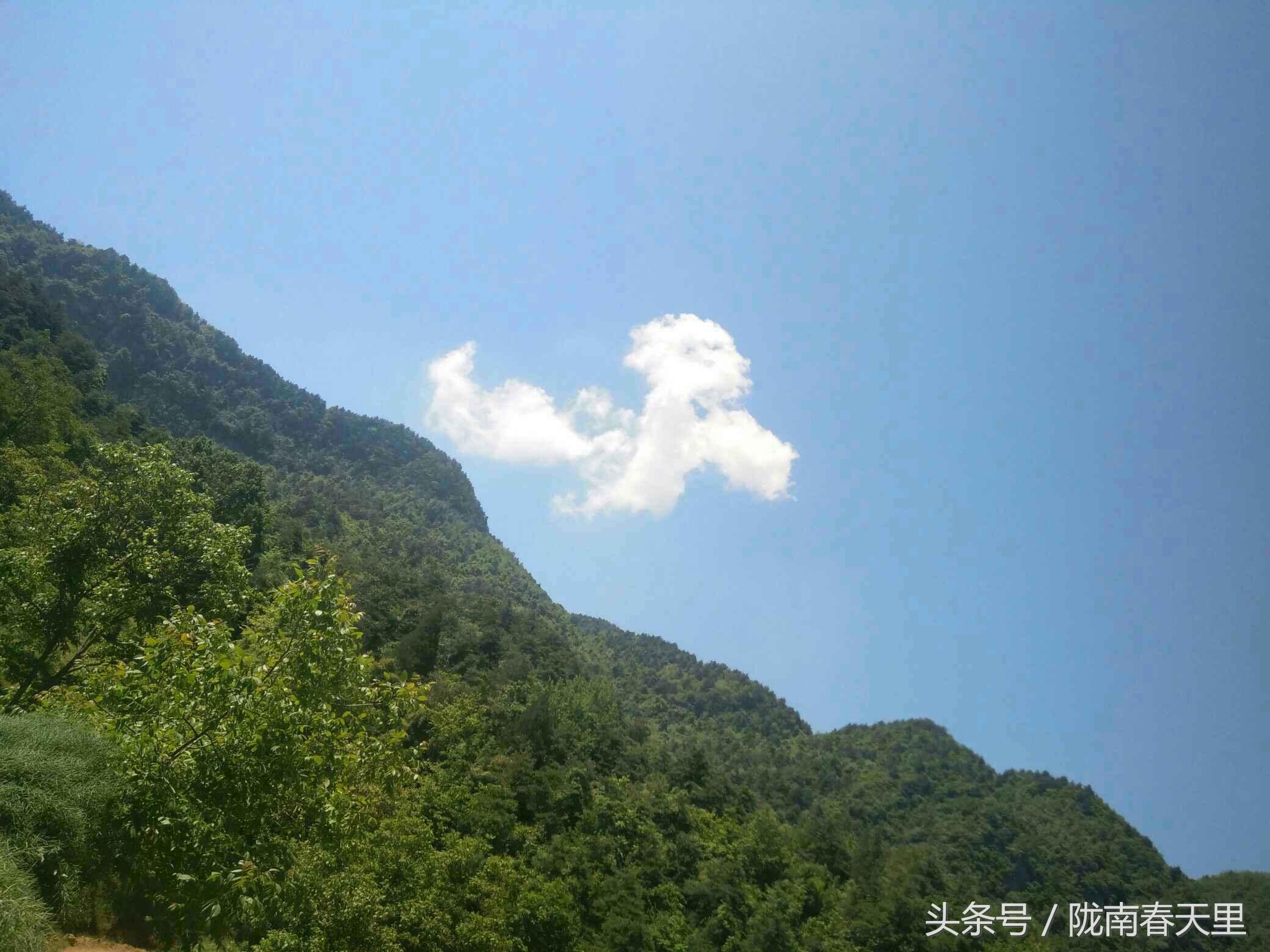 地方新闻 第22页