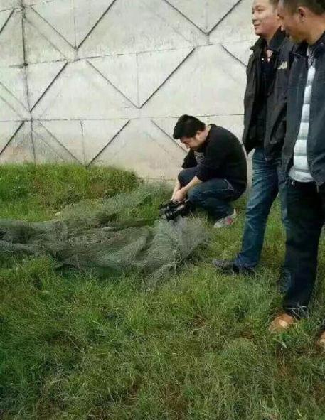 钓到鳄鱼拎进派出所